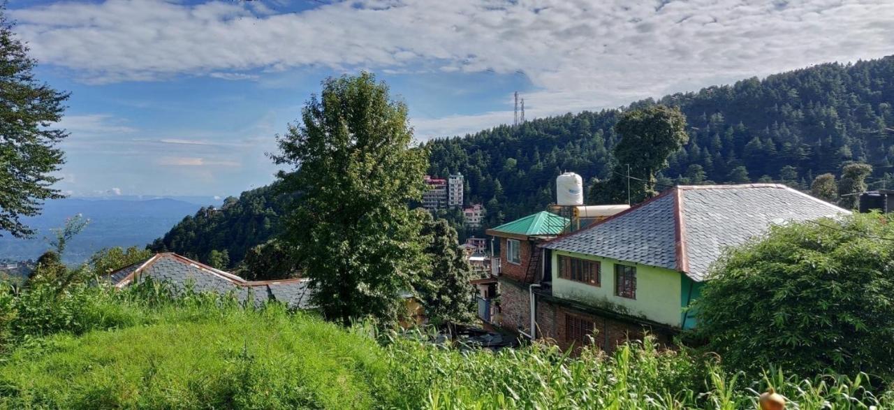 White Rabbit Guest House Dharamshala Exterior foto